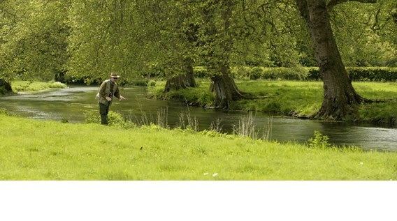 dry fly fishing river avon at heale